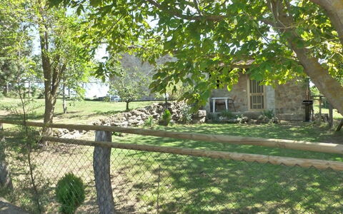 Funghi 2: Property, Tree, Yard, House, Land Lot, Backyard, Grass, Home, Real Estate, Lawn