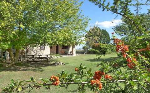 Funghi 2: Vegetation, Property, Natural Landscape, House, Garden, Tree, Flower, Plant, Real Estate, Cottage