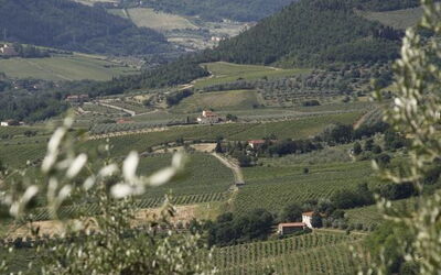 Accommodation:&nbsp;Pruno