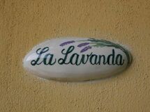 Accommodation:&nbsp;Lavanda