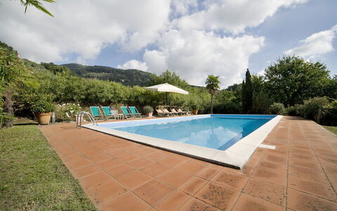 Teto: Swimming Pool, Property, Real Estate, Estate, Leisure, House, Home, Building, Villa, Backyard