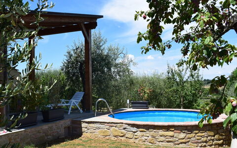 Selva Degli Ulivi