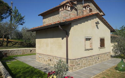 Selva Degli Ulivi