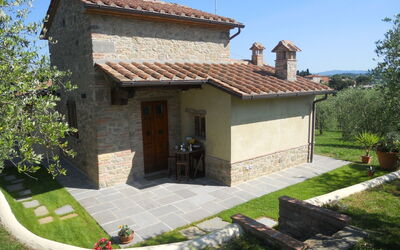 Selva Degli Ulivi