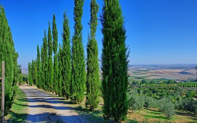 Villa Montalcino