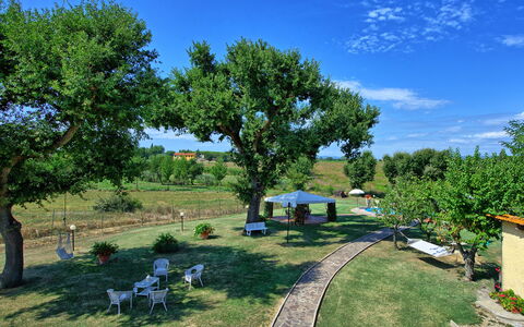 Casa Catia: Property, Tree, Real Estate, Yard, Transport, Garden, House, Land Lot, Rural Area, Home