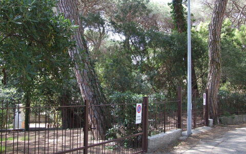 Appartamento - Le Finestre: Tree, Property, Fence, Woody Plant, Real Estate, Plant, Land Lot, House, Forest, Landscape