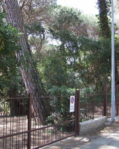 Appartamento - Le Finestre: Tree, Property, Fence, Woody Plant, Real Estate, Plant, Land Lot, House, Forest, Landscape