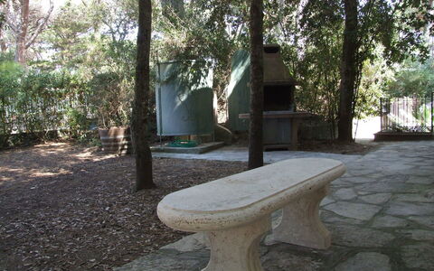 Villa Pineta: Bench, Property, Furniture, Tree, Table, Outdoor Bench, Grass, Room, Real Estate, Plant