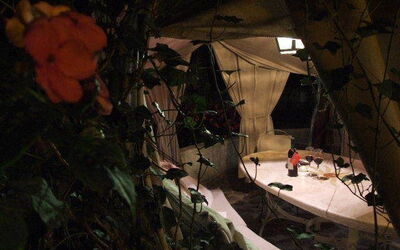 Accommodation:&nbsp;Camelia