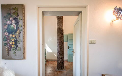 Marina Dei Ronchi Prestige: Property, Room, Wall, Door, House, Interior Design, Home, Floor, Building, Tree