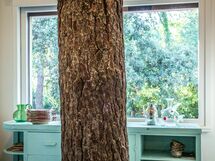 Marina Dei Ronchi Prestige